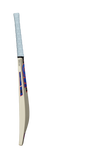 GM RADON DXM English Willow Cricket Bat