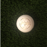 BDM Royal Stag Cricket Ball - White