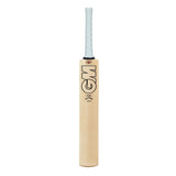 GM ICON DXM Signature - 2021 English Willow Cricket Bat
