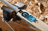 GM BEN STOKES PHASE II PLAYER EDITION DXM Cricket Bat