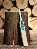 GM BEN STOKES PHASE II PLAYER EDITION DXM Cricket Bat
