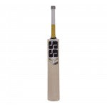 SS T20 Power English Willow Cricket Bat