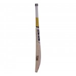 SS T20 Power English Willow Cricket Bat
