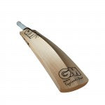 GM ICON DXM Signature - 2021 English Willow Cricket Bat