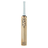 GM ICON DXM Signature - 2021 English Willow Cricket Bat