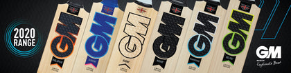 GM 2020