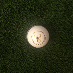 BDM Royal Stag Cricket Ball - White