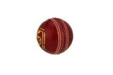 SG Cricket Ball - Bouncer