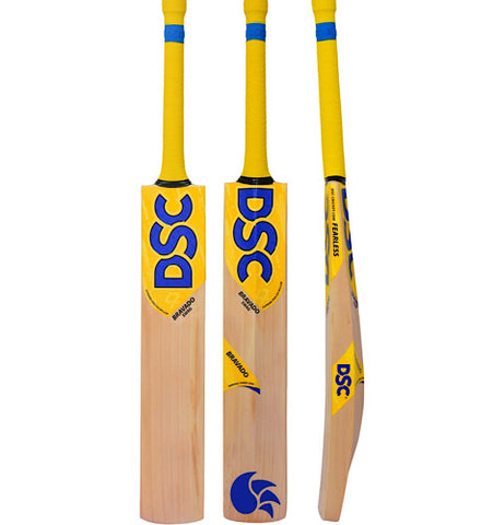 DSC Bravado Echo English Willow Cricket Bat