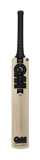 GM Noir DXM Signature English Willow Cricket Bat