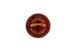 SG Cricket Ball - Bouncer