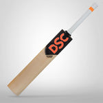 DSC Intense Attitude English Willow Cricket Bat
