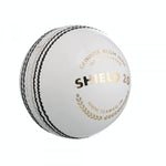 SG Cricket Ball White - Shield 20
